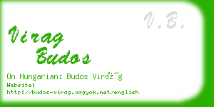 virag budos business card
